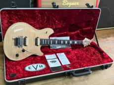 EVH WOLFGANG USA