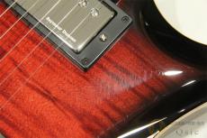 Framus Team Built Panthera II Supreme 【返品OK】[RL871]【神戸店在庫】_10
