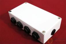 CUSTOM AUDIO JAPAN(CAJ) AC/DC STATION ver.2 [RL830]【神戸店在庫】_2