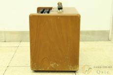 PETERSON Guitar Spacial P100G [RL836]【神戸店在庫】_3