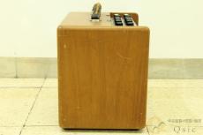 PETERSON Guitar Spacial P100G [RL836]【神戸店在庫】_4