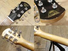 Pignose PGG-200_8
