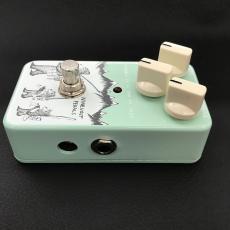 Animals Pedal FUSHING IS AS FUN AS FAZZ_6