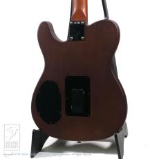 Fender Acoustasonic Standard Telecaster_4