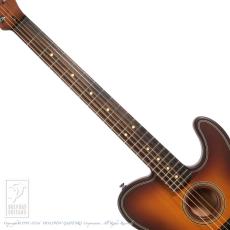Fender Acoustasonic Standard Telecaster_5