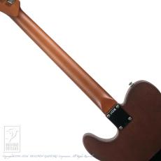 Fender Acoustasonic Standard Telecaster_6
