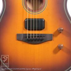 Fender Acoustasonic Standard Telecaster_11
