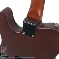 Fender Acoustasonic Standard Telecaster_13