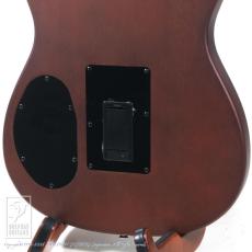 Fender Acoustasonic Standard Telecaster_14