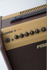 FISHMAN LOUDBOX Mini Charge【NEW】【日本総本店 BASS CENTER】_4
