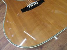 Takamine TSS-10_3