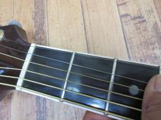 Takamine TSS-10_4