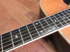 Takamine TSS-10_6
