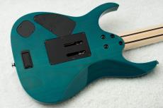 Ibanez HZK1 "HAZUKI Signature" #F2615043 【NEMOPHILA / KOIAI】_8
