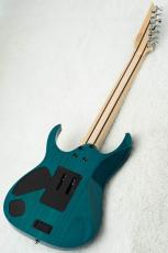 Ibanez HZK1 "HAZUKI Signature" #F2616506 【NEMOPHILA / KOIAI】_7