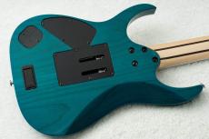 Ibanez HZK1 "HAZUKI Signature" #F2616506 【NEMOPHILA / KOIAI】_8