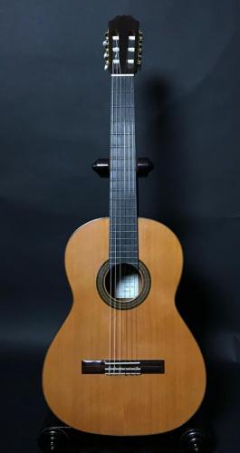 ARIA ACE-5C