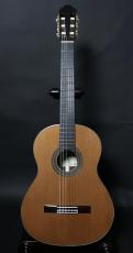 ARIA A-50C