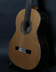 ARIA A-50C_2