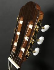ARIA A-50C_4