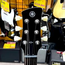 YAMAHA RSE20_5
