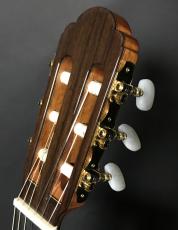 ARIA A50A-s 【アルトギター】_4