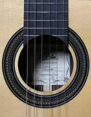 ARIA A50A-s 【アルトギター】_5