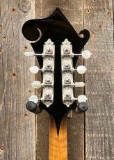 Gibson F-5 Master Model Reissue #73076_7