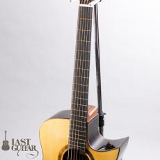 Wai Wong Guitars MD-Jacaranda_5