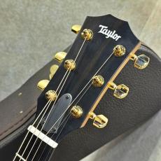 Taylor 【試奏動画あり】224ce-K DLX #2203196552【華やかなコアサウンド・天然木の個性光る一本】【送料当社負担】【池袋店在庫品】_3
