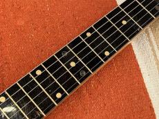 Alamo  Embassy Lap Steel_10