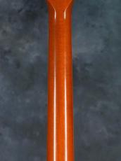 Gibson Les Paul Standard Double Cutaway Amber Serrano_12