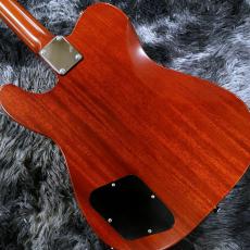Provision Telebird #006-J-MH-BK 【東京楽器博出展個体】【国産ハイエンド】_7