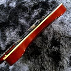 Provision Telebird #006-J-MH-BK 【東京楽器博出展個体】【国産ハイエンド】_9