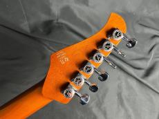 Kz Guitar Works Kz TL Trad 22 2H5 Prototype_10