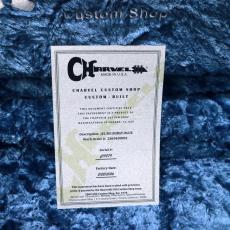Charvel U.S.A Artist Series Jake E Lee USA Signature, Blue Burst_10
