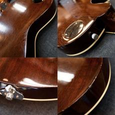 Gretsch 6129-57_7