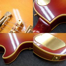 Gibson Les Paul Custom Modify '76_11