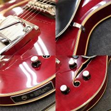 YAMAHA SA-50_5