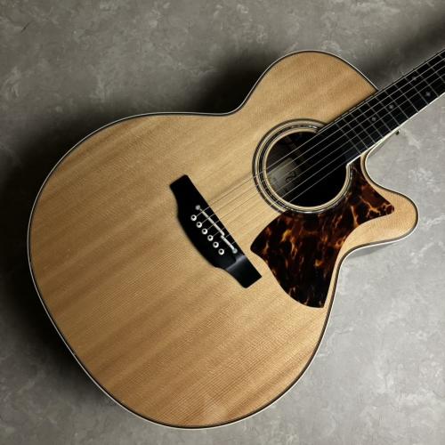 Takamine DMP50S