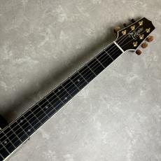 Takamine DMP50S_2