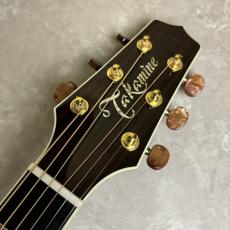Takamine DMP50S_3