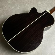 Takamine DMP50S_4