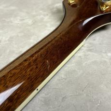 Takamine DMP50S_6