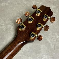 Takamine DMP50S_7
