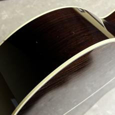 Takamine DMP50S_8