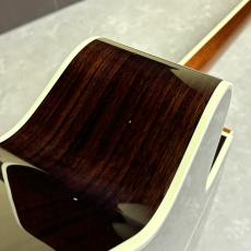 Takamine DMP50S_9