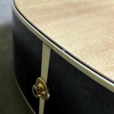Takamine DMP50S_10