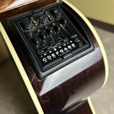 Takamine DMP50S_11