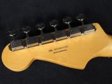 Fender Player II Stratocaster Cactus Gray_9